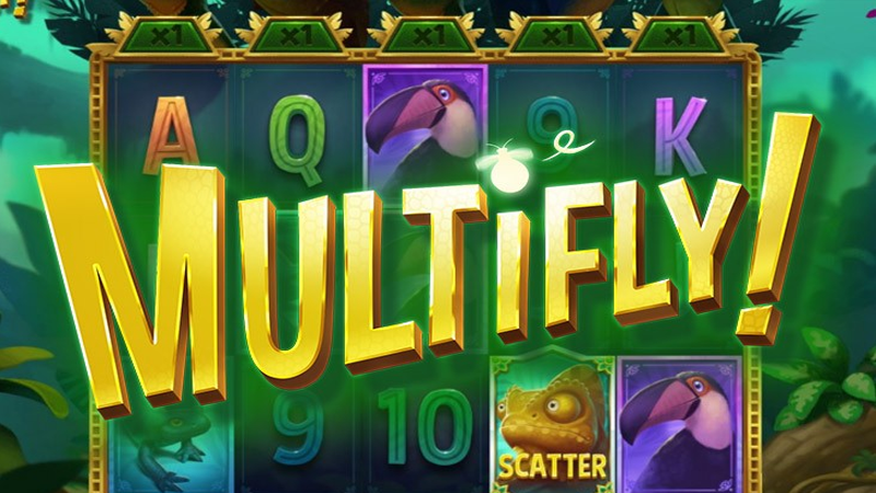 Multifly!